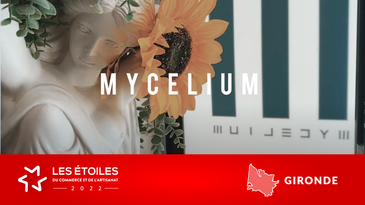 MYCELIUM