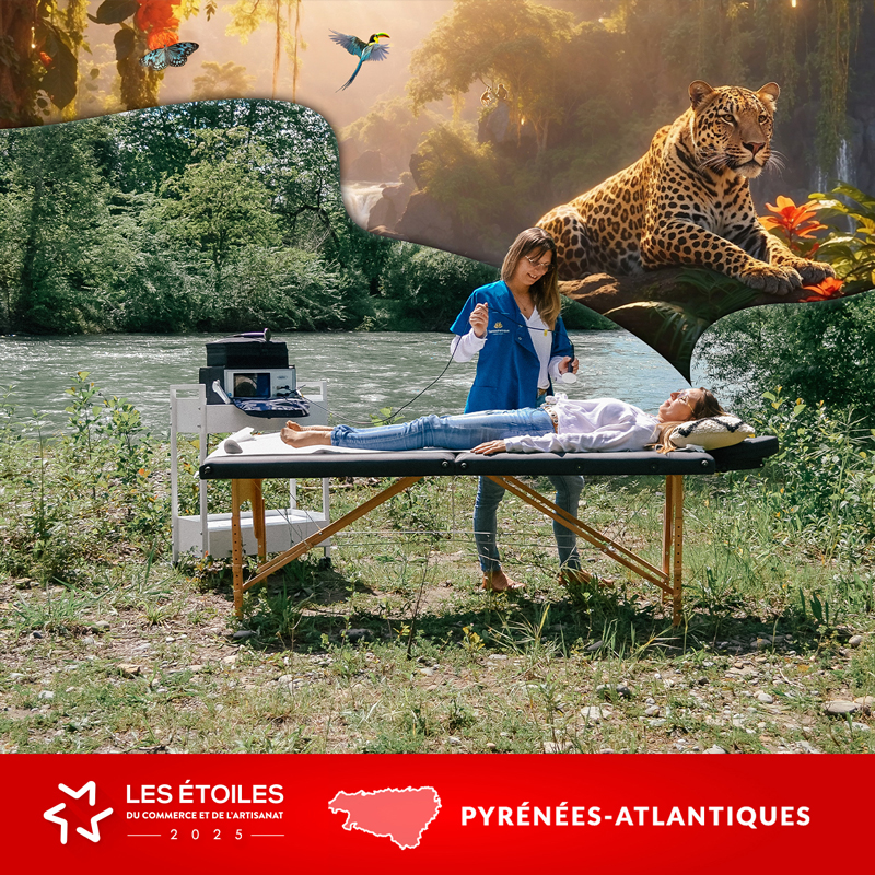Santésthétique