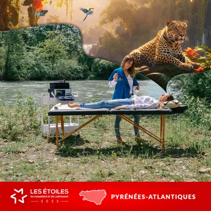 Santésthétique